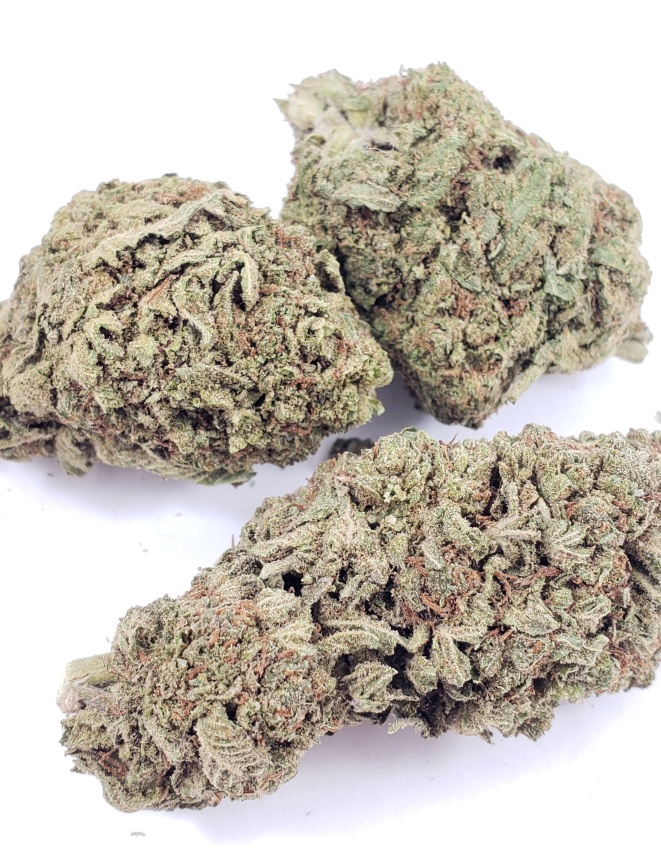 Bubba's Gift Auto-Flowering Marijuana Seeds : Bubbas Gift Strain - The Seed  Pharm