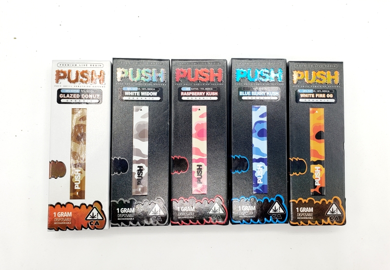 Push Disposables 2 Gram - OC 420 Collection
